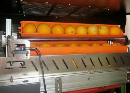 Автомат 800W фруктового сока черного рынка для апельсинов Яблока