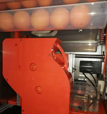 Juicer апельсинового сока автомата 800W сока SDK автоматический свежий