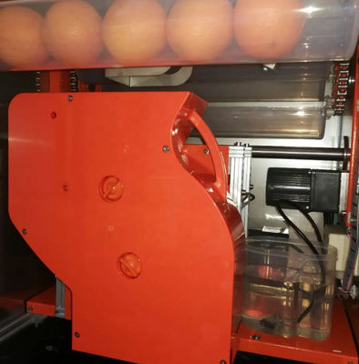 Автоматическая свежая машина 800W WD-ORANGE апельсинового сока торгового автомата